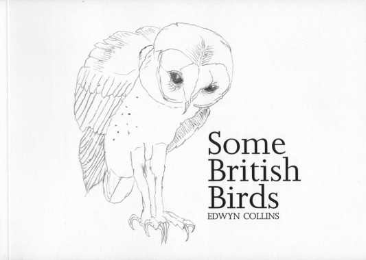 Edwyn Collins, Some British Birds